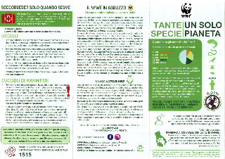 WWF Chieti-Pescara: brochure con consigli in caso di incontri con la fauna selvatica